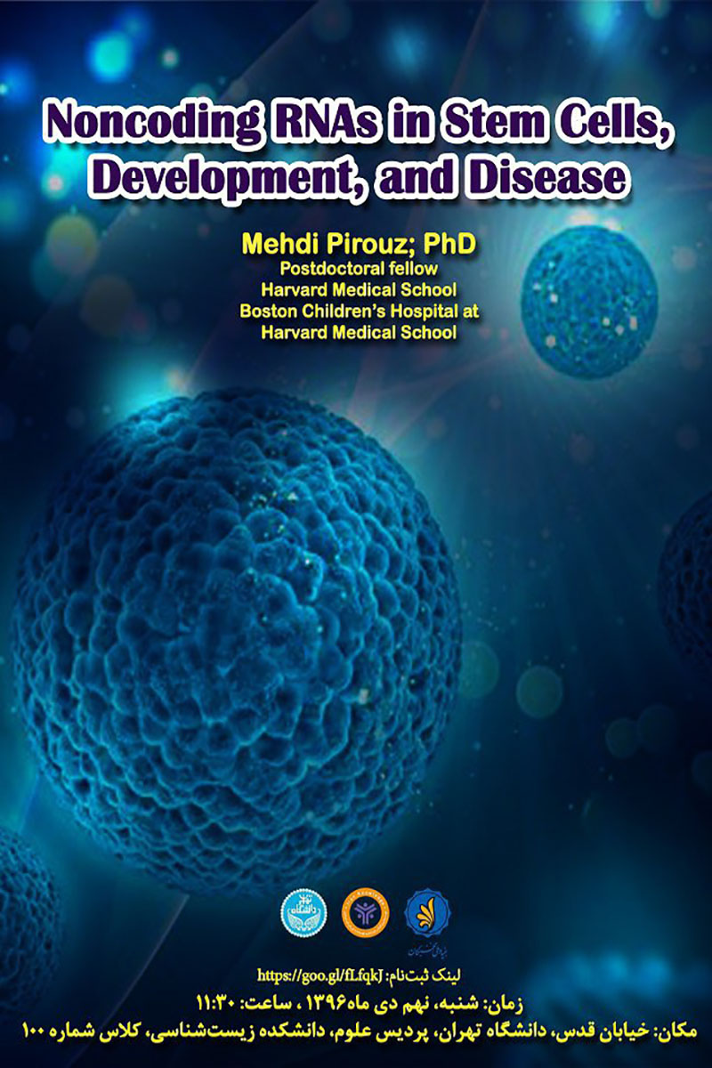 RNAs in Stem Cells, Development, and Disease
