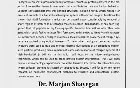 مطالعه واکنش پروتئین پروتئین با استفاده از میکرولوژی- دکتر مرجان شایگان