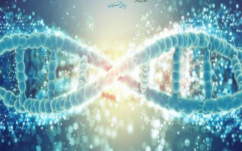ارزیابی پروفایل های اپی ژنتیک در نمونه های سرطانی که توسط سلول های طبیعی آلوده می شوند- دکتر الناز ص